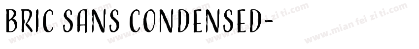 Bric Sans Condensed字体转换
